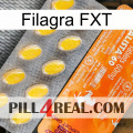 Filagra FXT new05